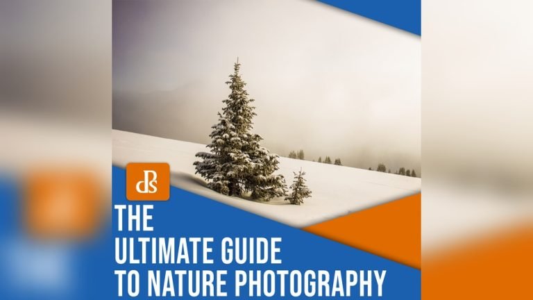 Press Ranger Review: Ultimate Guide to Boost Your PR Success