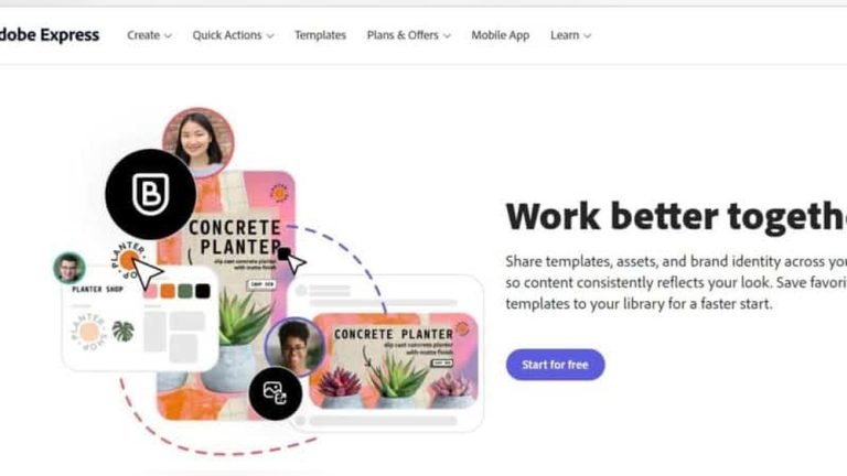 “Best Graphic Design Software for Non-Designers”