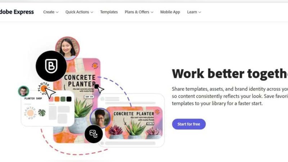 “Best Graphic Design Software for Non-Designers”